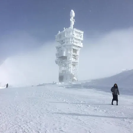 Private Host 公寓 *