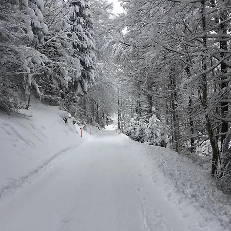 Private Host * 英格堡