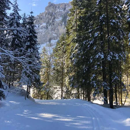 Private Host Daire Engelberg