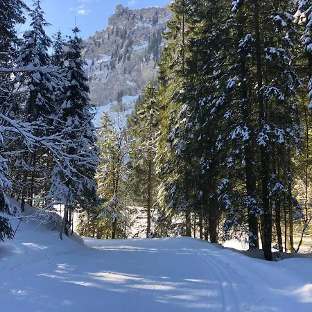 Private Host Apartment Engelberg