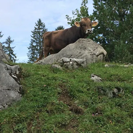 公寓 Private Host *