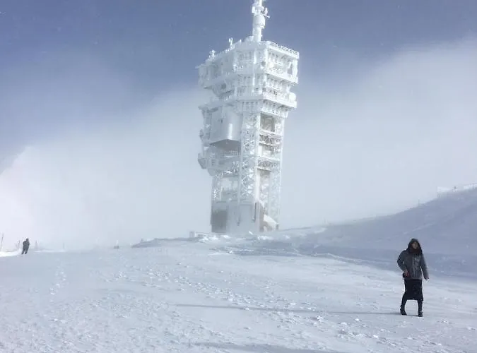 Private Host Appartamento *