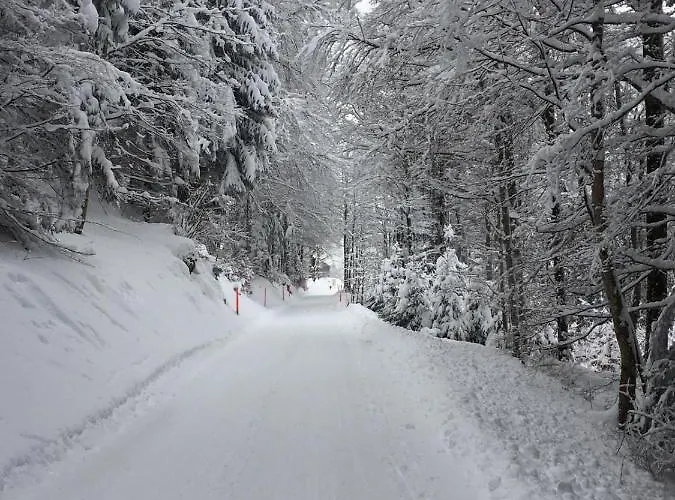 Private Host * 英格堡