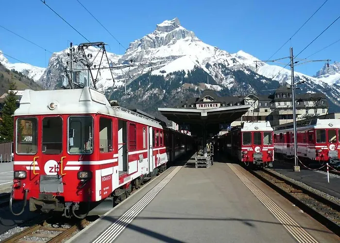 Private Host דירה *