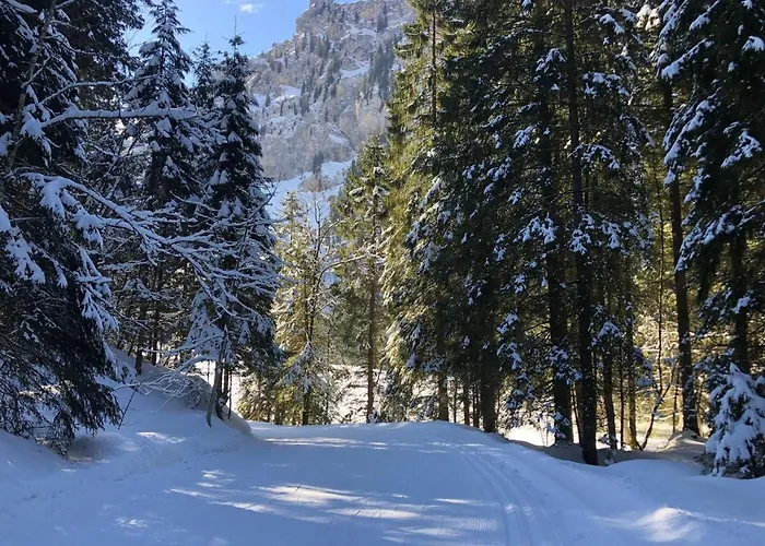 Private Host דירה אנגלברג