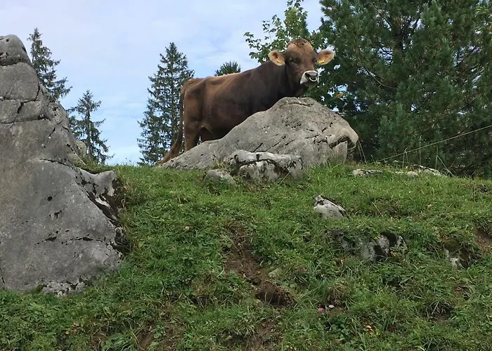 公寓 Private Host *